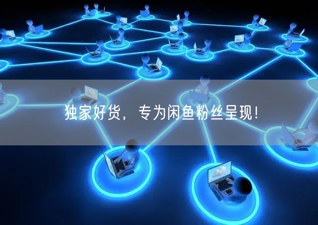 独家好货,专为闲鱼粉丝呈现!