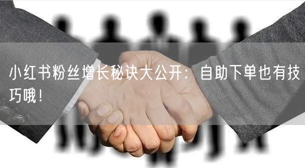 小红书粉丝增长秘诀大公开:自助下单也有技巧哦!
