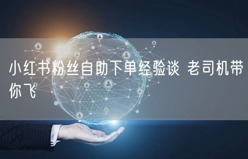 小红书粉丝自助下单经验谈 老司机带你飞