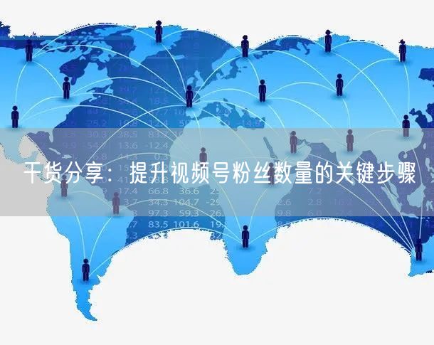 干货分享：提升视频号粉丝数量的关键步骤