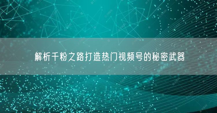 解析千粉之路打造热门视频号的秘密武器