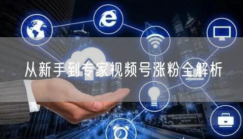 从新手到专家视频号涨粉全解析